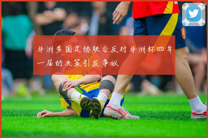 非洲多国足协联合反对非洲杯四年一届的决策引发争议