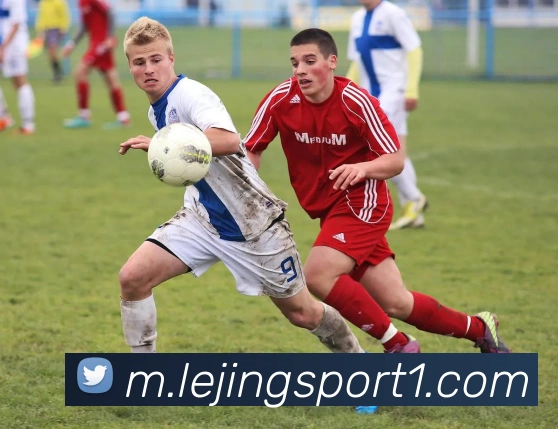 乐竞体育APP 封面图